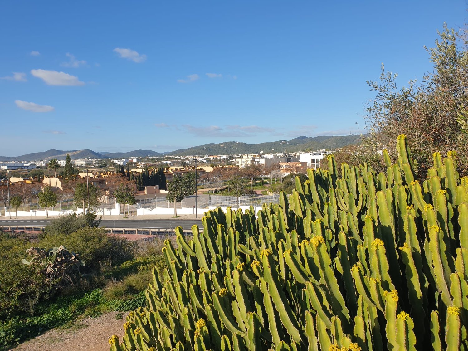 Maison en vente à Figueretes - Platja d'En Bossa (Ibiza)